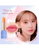 TINTED LIPBALM LONG LASTING MOITURISING LIP PRODUCT