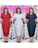 DRESS BROCADE DINNER PREMIUM 70-90KG