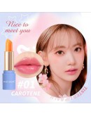 TINTED LIPBALM LONG LASTING MOITURISING LIP PRODUCT